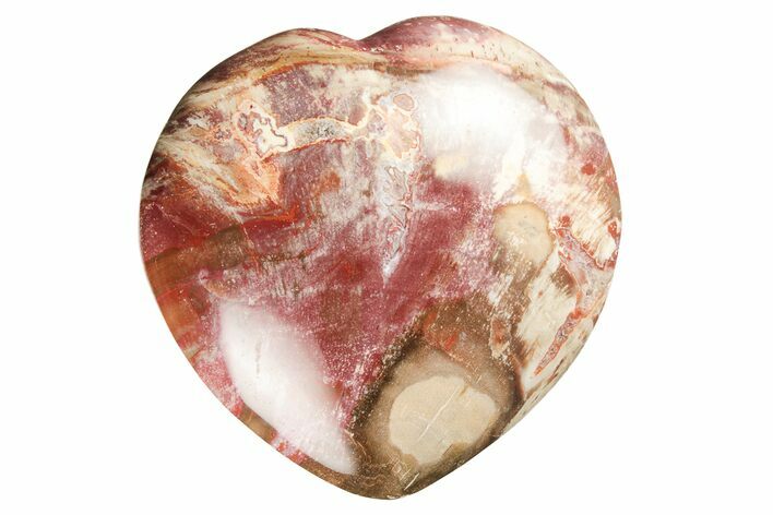Polished Triassic Petrified Wood Heart - Madagascar #194887